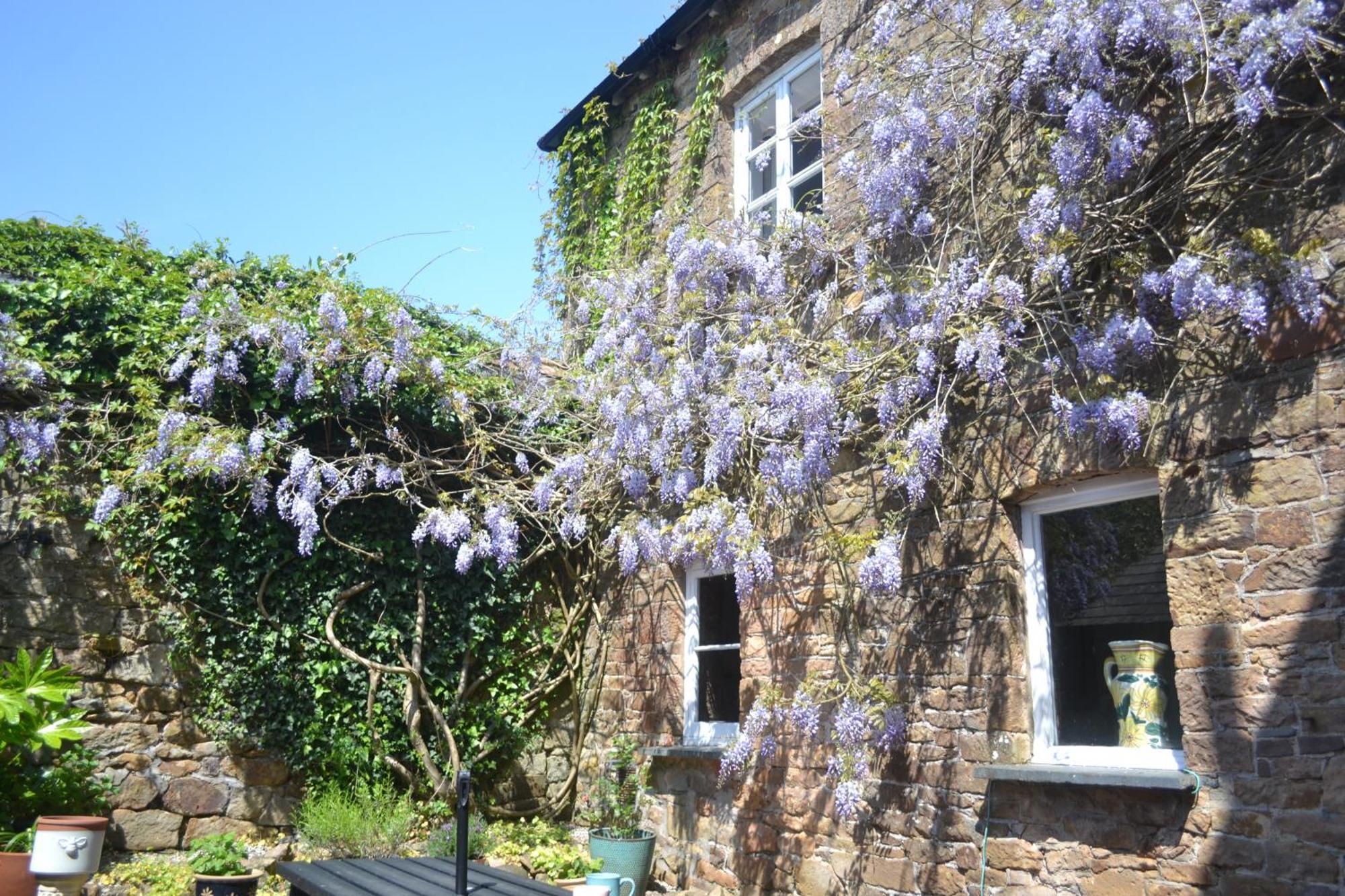 The Old Police Station Villa Hatherleigh Exterior photo